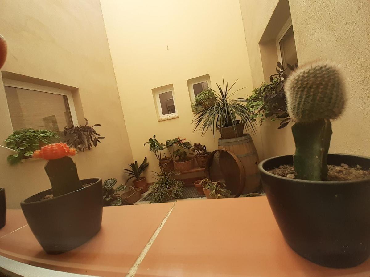 Bed and Breakfast Casa La Foradada Corbera Экстерьер фото